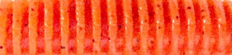 3` FishUp Wizzle Shad - Orange Pumpkin Black | 049